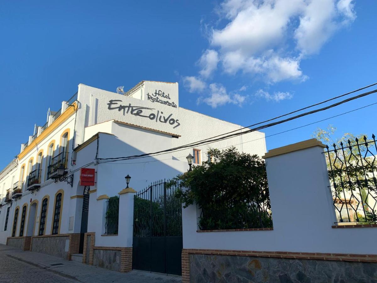 Hotel Entreolivos El Pedroso Exterior foto